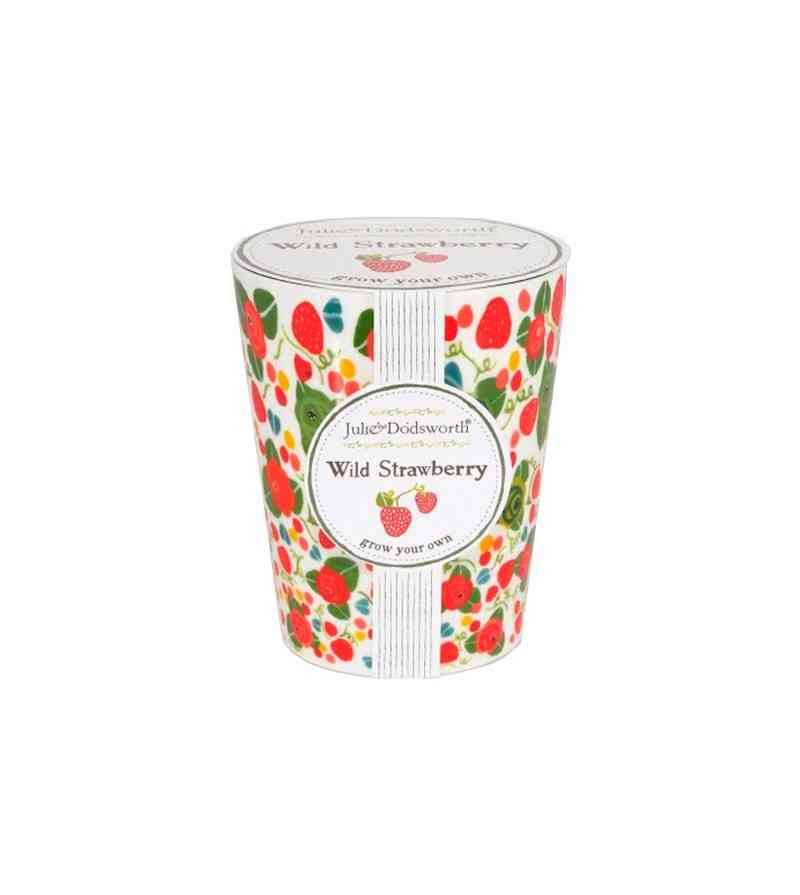 grown-your-own-fresa-silvestre-semilla-con-maceta