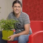 Íñigo segurola presentador bricomanía