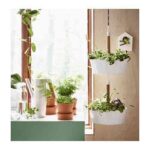 bittergurka-macetero-colgante-blanco__0463243_PH128876_S4