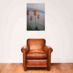 cuadro de aluminio  amapolas 2- CU03