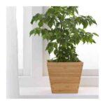 macetero de bambu en ikea