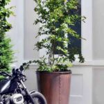 objetos de cobre macetero baja iec