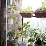renovar tu balcon plantas ikea