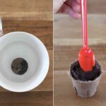 terrario para decorar paso 1