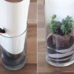 terrario para decorar paso 5