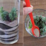 terrario para decorar paso 6