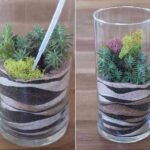 terrario para decorar paso 7