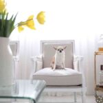 012salon decorado por Vintage Hunter para con dos tacones