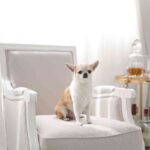 013salon decorado por Vintage Hunter para con dos tacones