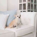 014salon decorado por Vintage Hunter para con dos tacones