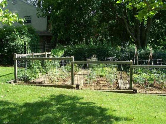 Claves prácticas de diseño de jardines para disfrutar