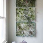 plantas de aire contemporist wall