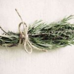 matamoscas casero con plantas