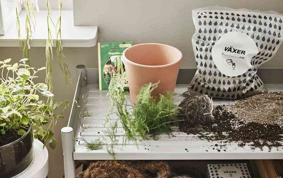 Ideas geniales para cultivar plantas y hortalizas en un huerto en casa