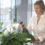 pulverizador city gardening