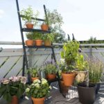 sistema riego automatico city gardening