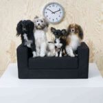 ikea lurvig mascotas 3