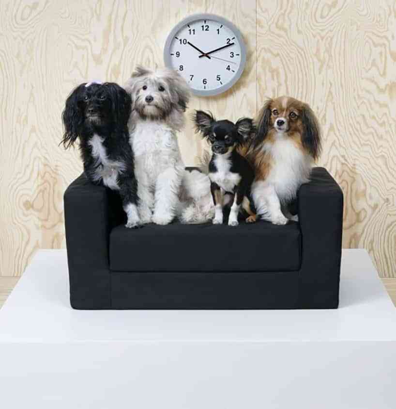 LURVIG, la nueva colección de muebles de IKEA para mascotas 4