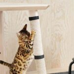 ikea lurvig mascotas 4
