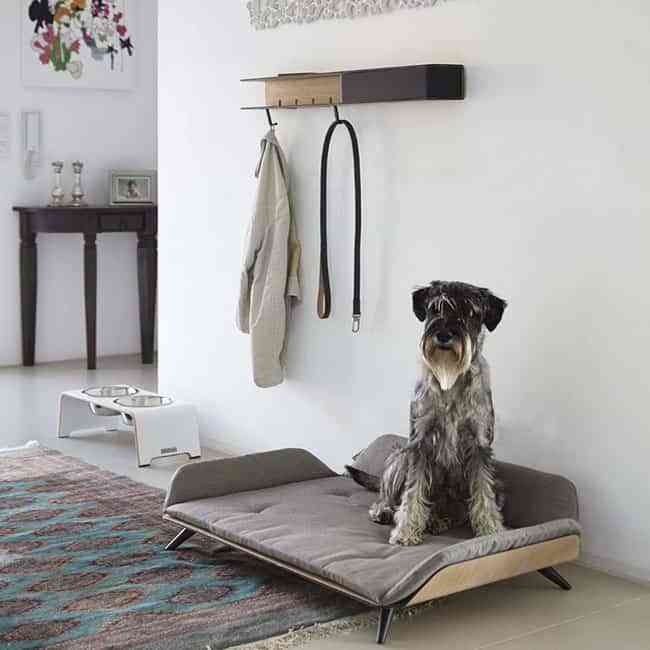 Cómo decorar la casa para tu mascota con muebles de diseño 6