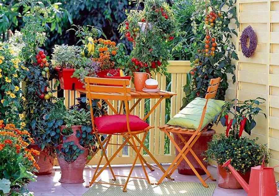 Ideas eficaces para transformar la terraza en un paraíso vegetal 1