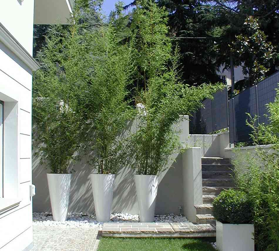 Ideas eficaces para transformar la terraza en un paraíso vegetal 5