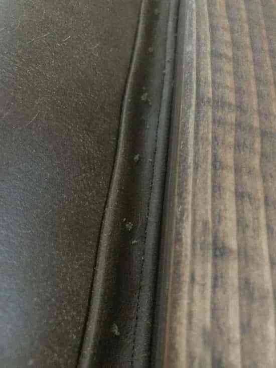 DIY: Un cabecero tapizado en cuero para decorar un dormitorio rústico 10