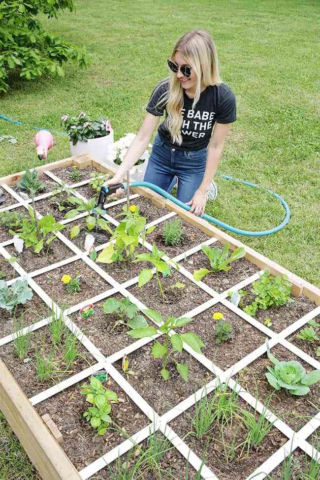 DIY: Construye un jardín-huerto elevado para tener tus propios cultivos 16