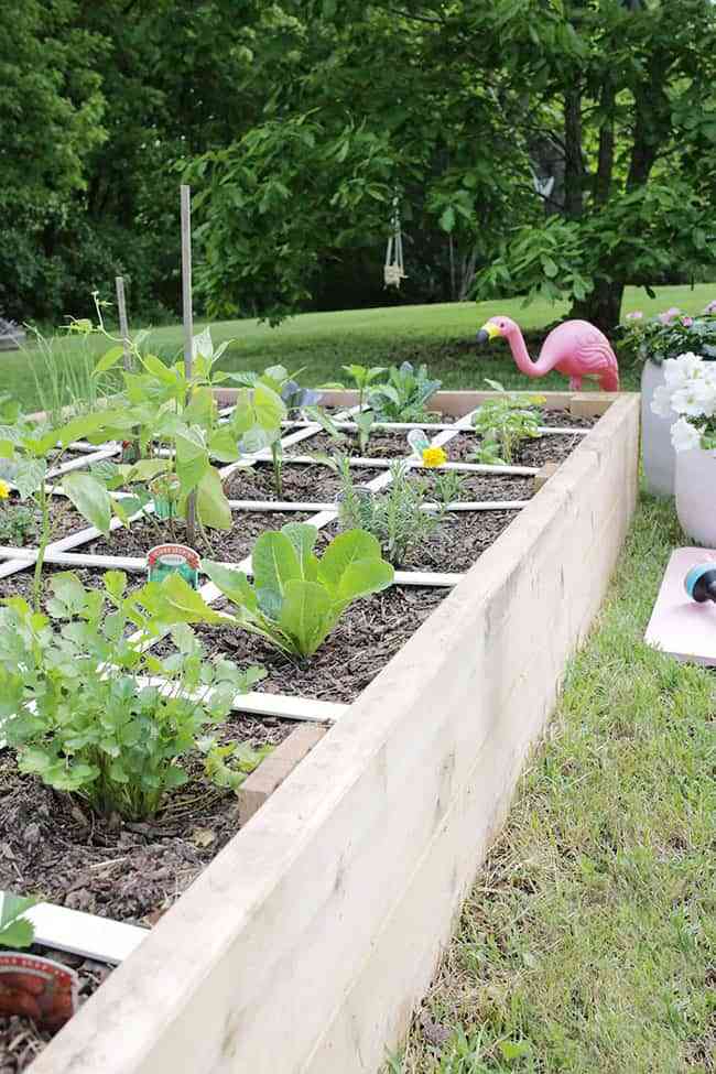 DIY: Construye un jardín-huerto elevado para tener tus propios cultivos 1