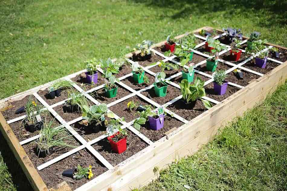 DIY: Construye un jardín-huerto elevado para tener tus propios cultivos 13