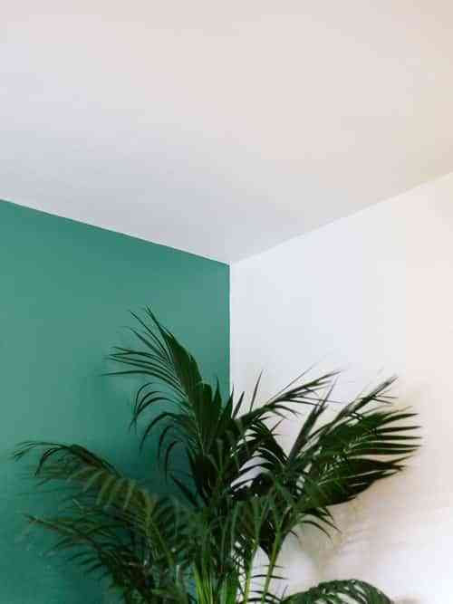 Cómo usar el color para decorar una casa de planta abierta 5