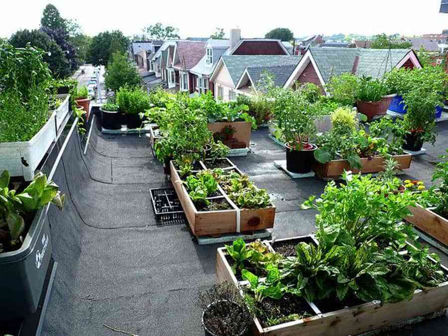 5 razones para disfrutar de cubiertas vegetales en los tejados 6