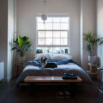 El mundo del feng shui