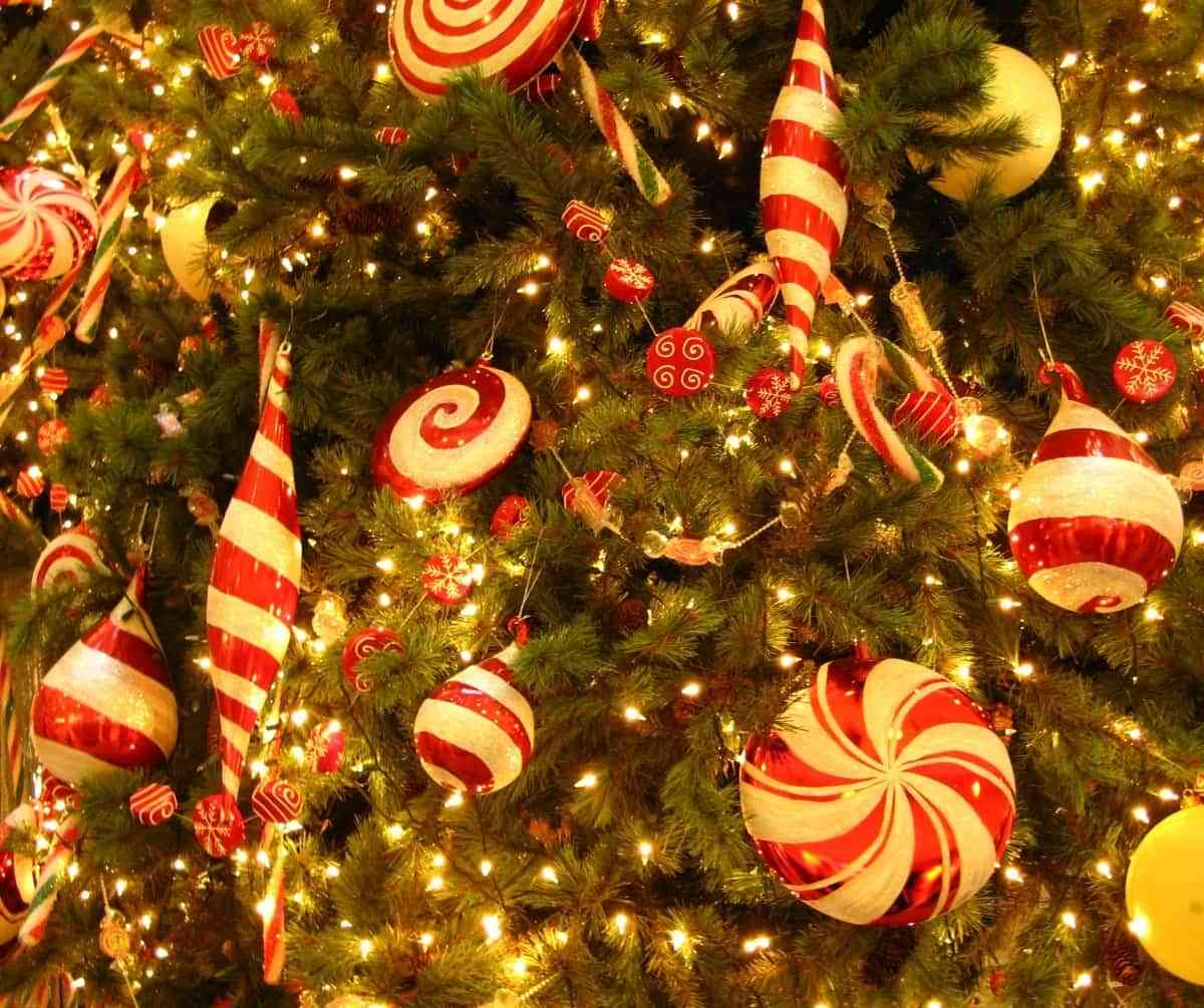 Consejos para decorar el árbol de Navidad y que esté perfecto 2