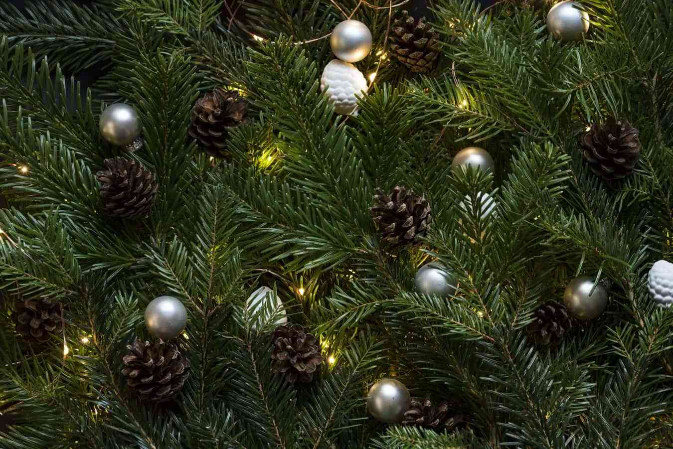 Consejos para decorar el árbol de Navidad y que esté perfecto 6