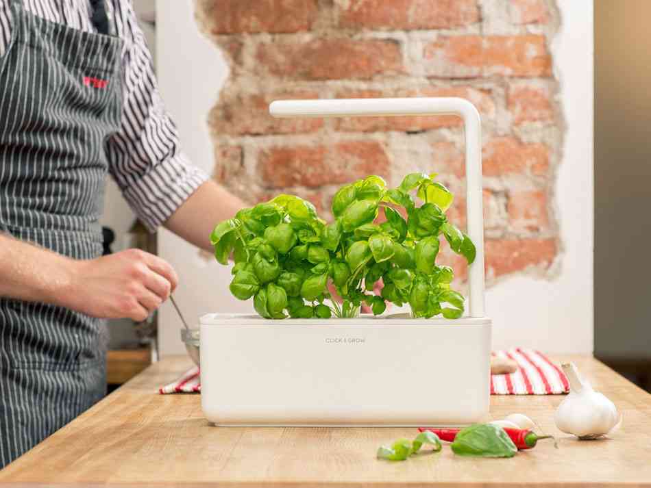 Un jardín inteligente dentro de casa, ¡todo ventajas! 4 Un jardín inteligente dentro de casa, ¡todo ventajas! 3