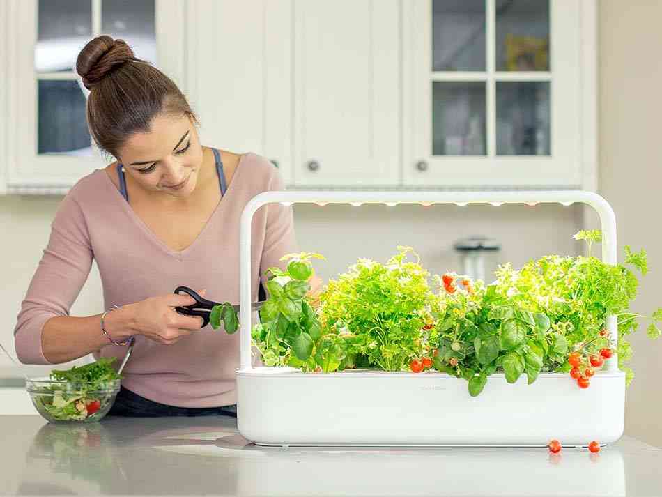 Un jardín inteligente dentro de casa, ¡todo ventajas! 7 Un jardín inteligente dentro de casa, ¡todo ventajas! 6