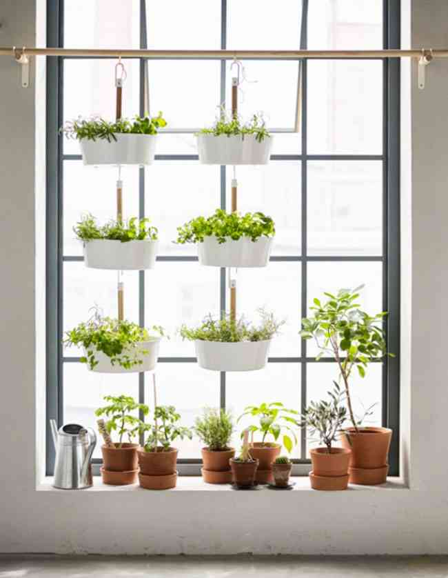 Un jardín inteligente dentro de casa, ¡todo ventajas! 6 Un jardín inteligente dentro de casa, ¡todo ventajas! 5