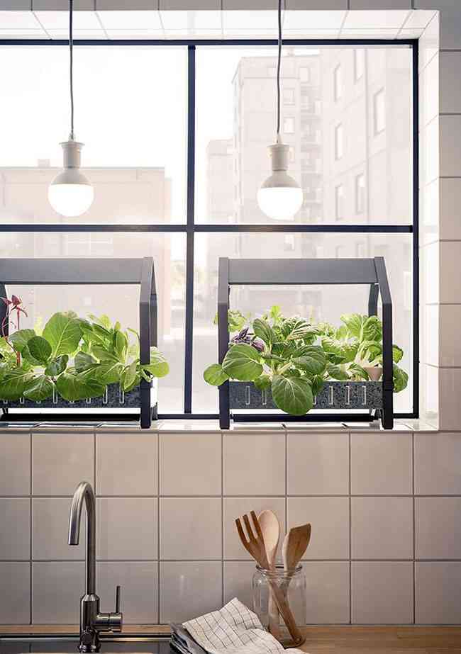 Un jardín inteligente dentro de casa, ¡todo ventajas! 5 Un jardín inteligente dentro de casa, ¡todo ventajas! 4