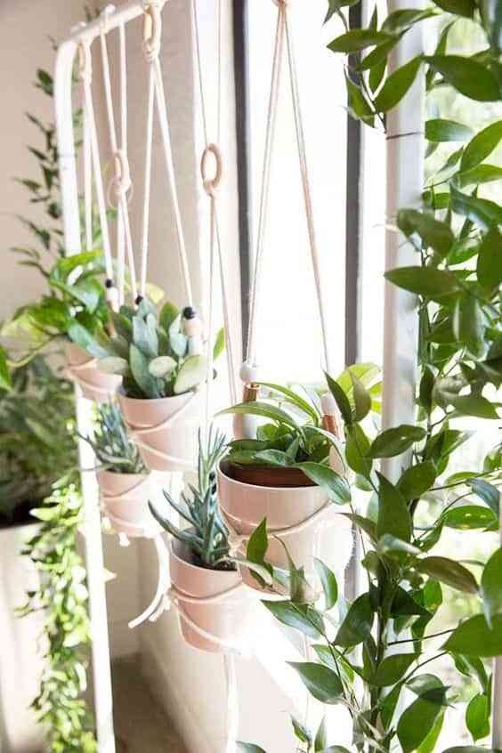 cuidar plantas de interior X