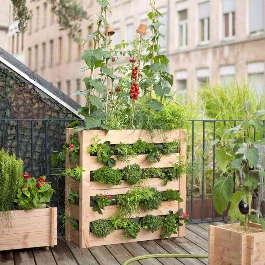 Cómo crear un huerto en la terraza