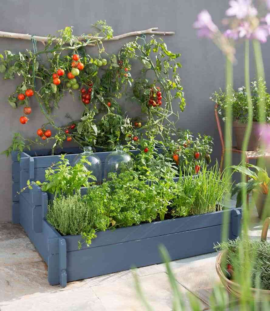 Cómo crear un huerto urbano en tu terraza o balcón 4 Huerto urbano en semi sombra