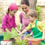 cultivar tus plantas gourmetdemexico.com.mx jpg