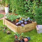 cultivar tus plantas leroy merlin.es 1jpg