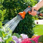 cultivar tus plantas leroy merlin.es 2 pg