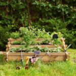 cultivar tus plantas leroy merlin.es 6 jpg