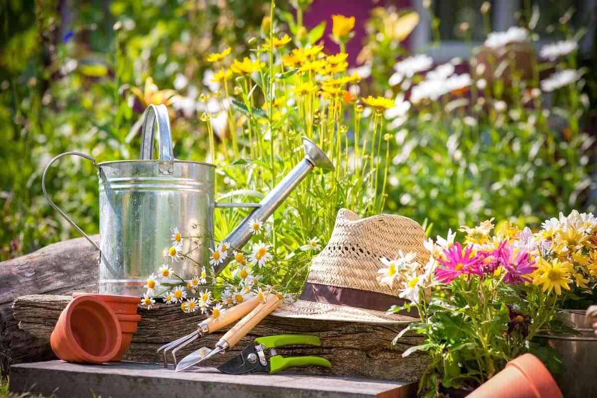 Ideas para tener un jardín perfecto esta primavera 1