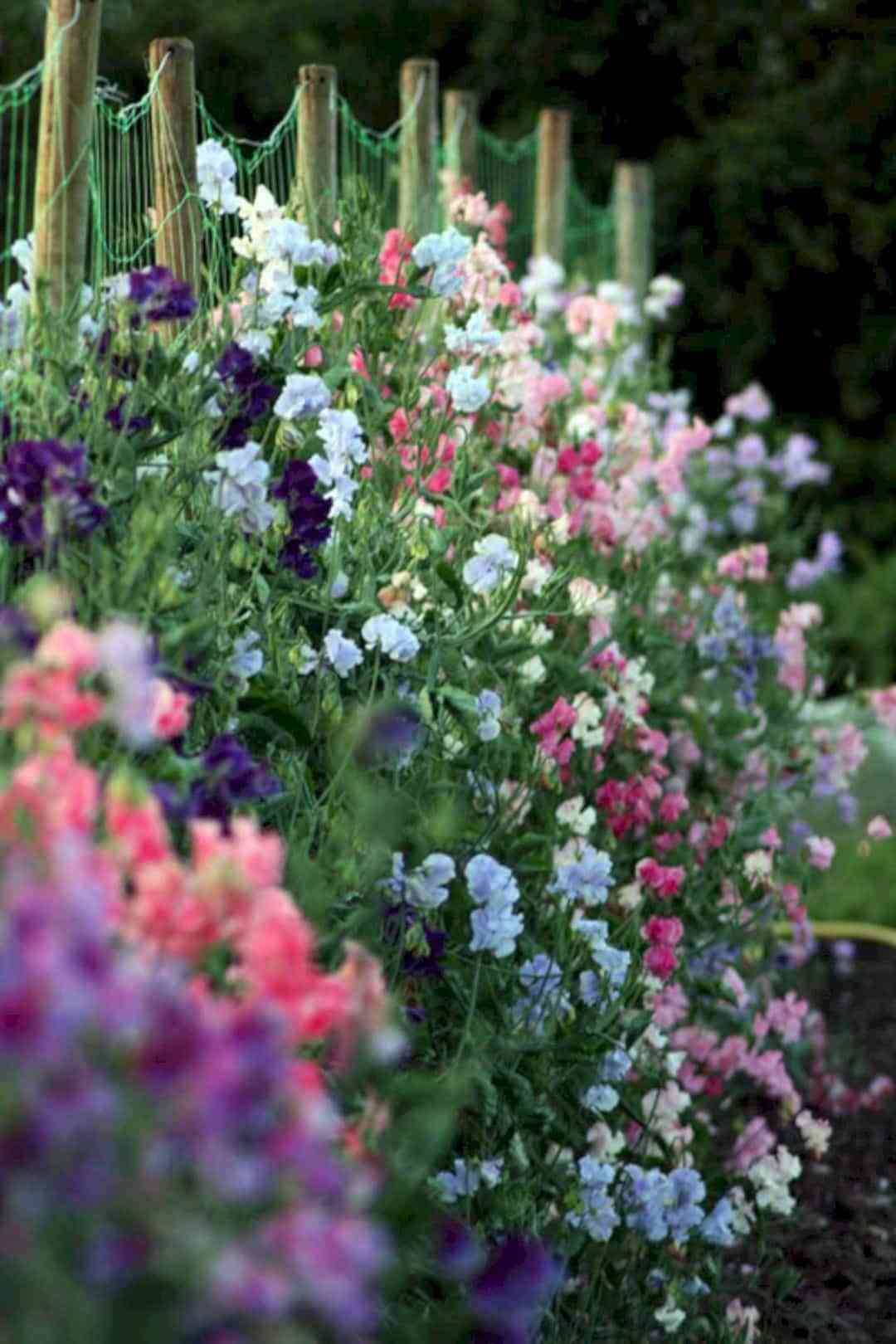 Ideas para tener un jardín perfecto esta primavera 7