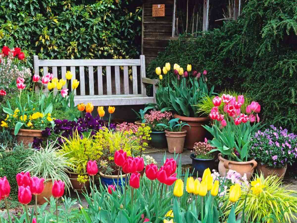 Ideas para tener un jardín perfecto esta primavera 12