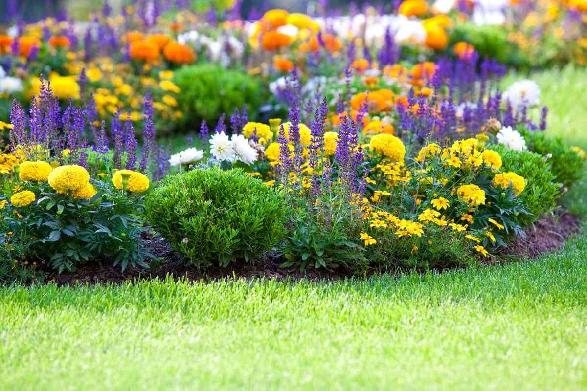 Ideas para tener un jardín perfecto esta primavera 2